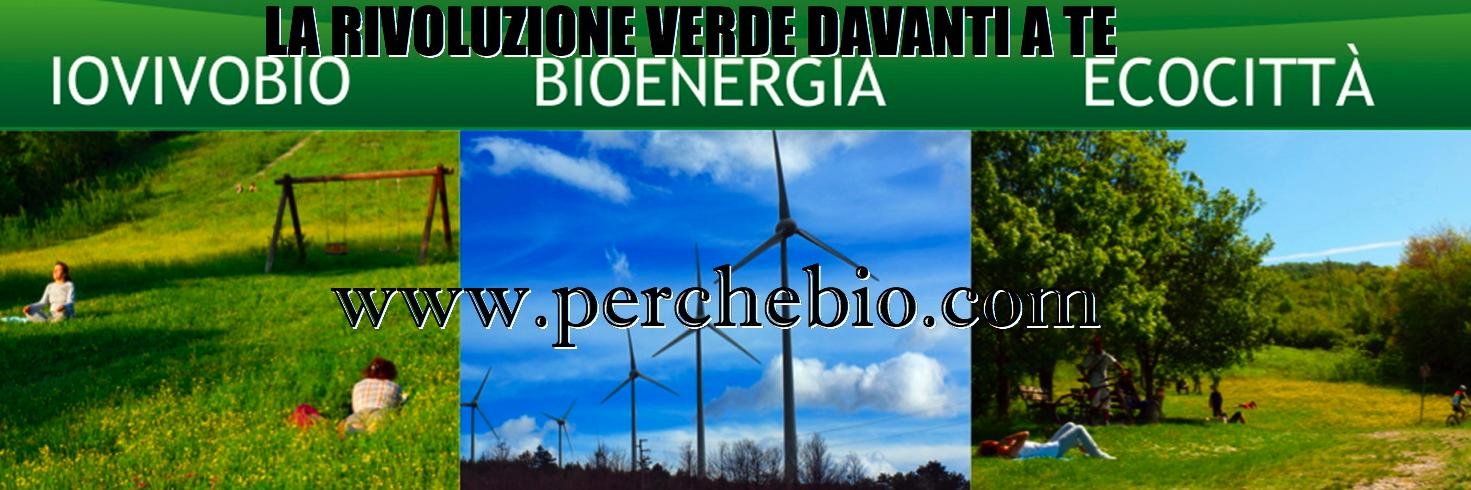 perchebio's profile banner image