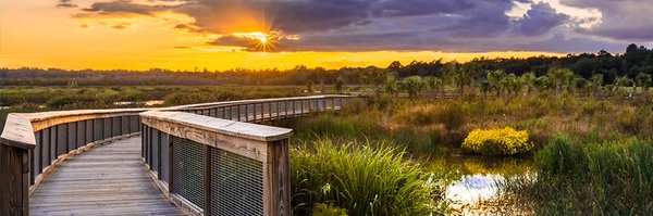 TLHM_MD Profile Banner