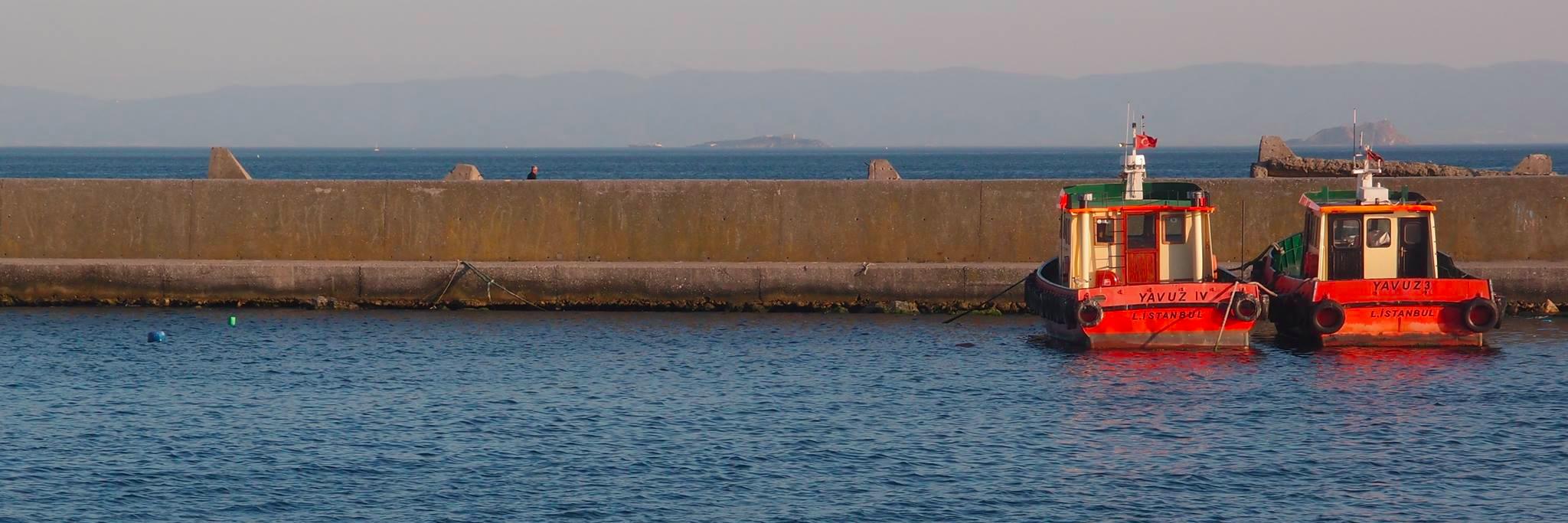 Lena Bjurström banner