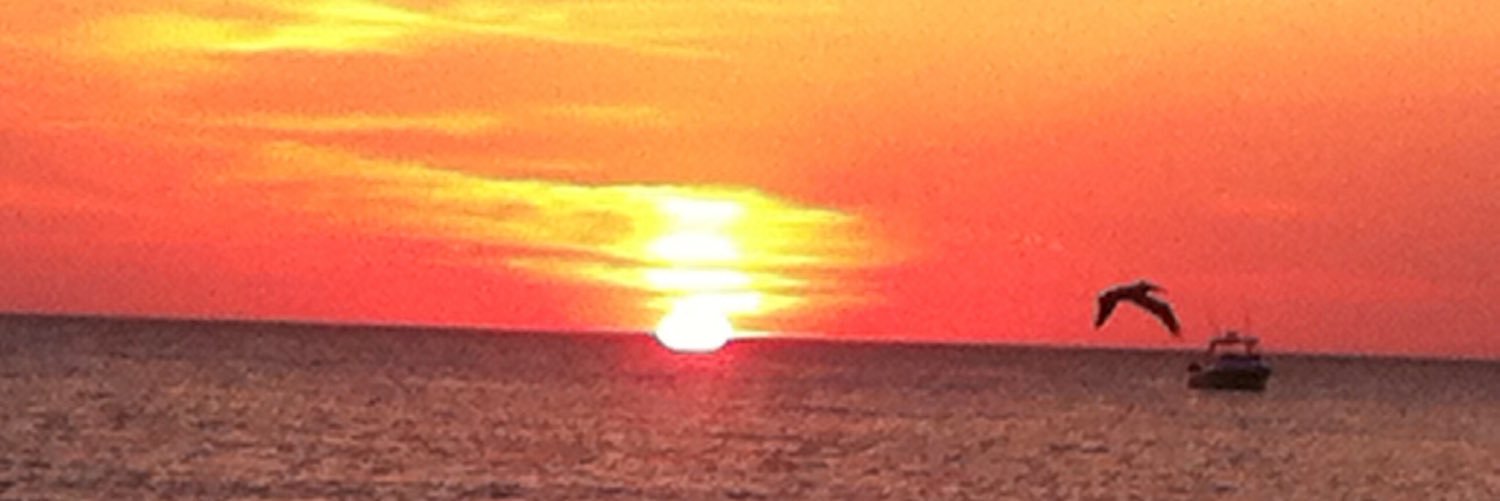 Phillywillywoo2's profile banner image