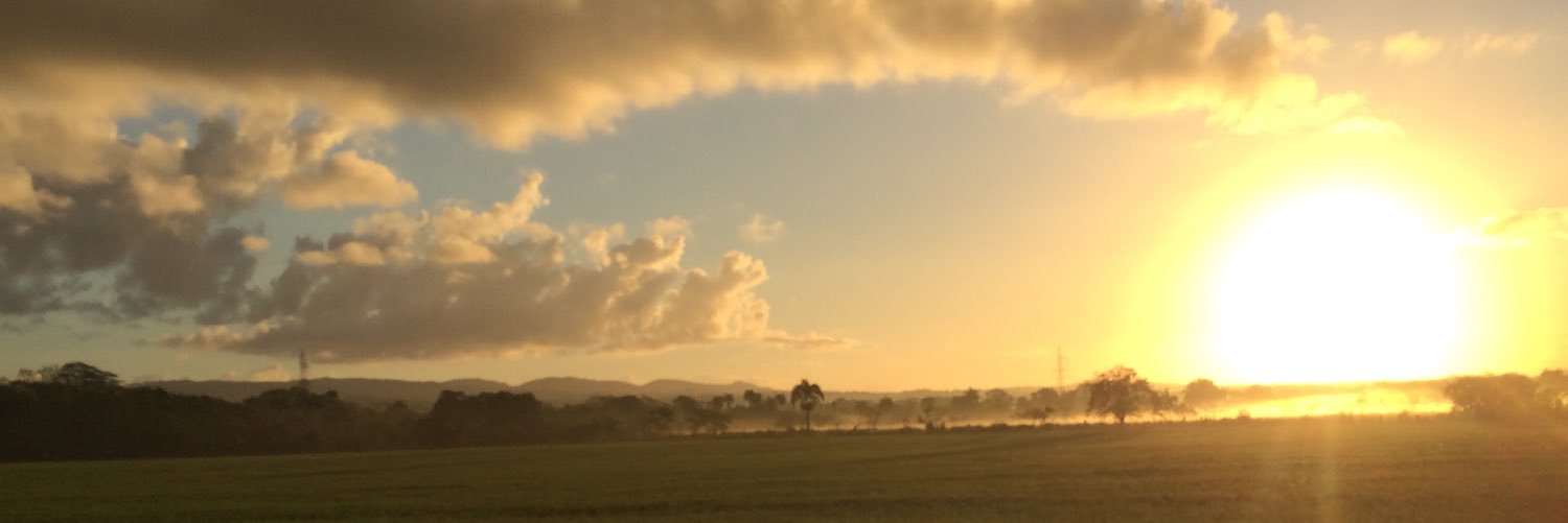 GeorgeECM's profile banner image