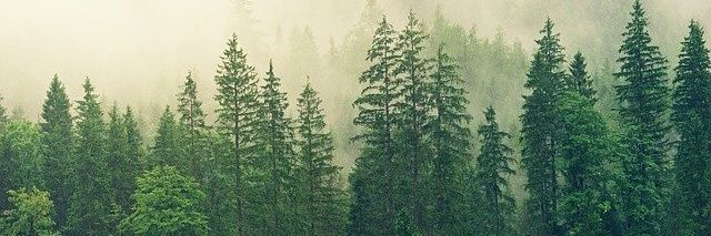 clickycd's profile banner image