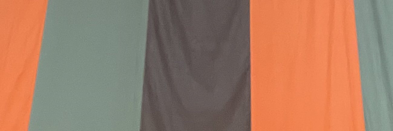 hanakoaz's profile banner image