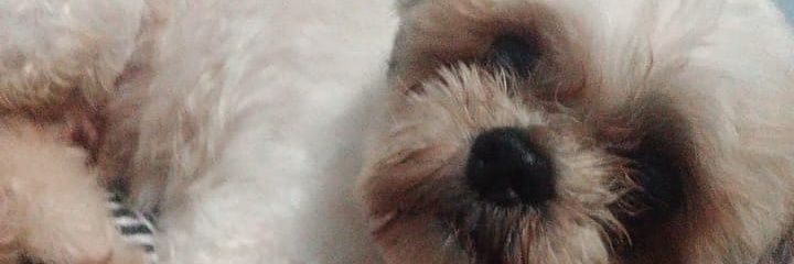 _marilenec_'s profile banner image