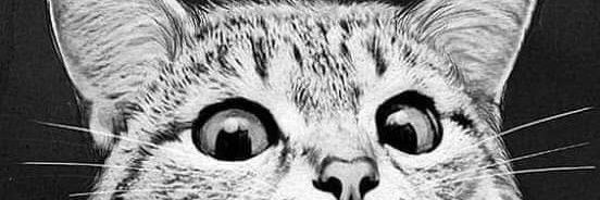 Felipondriaco's profile banner image