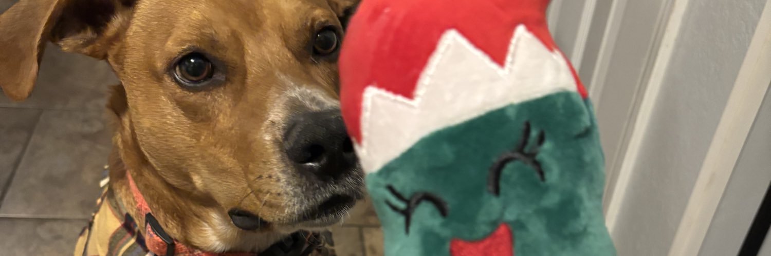 rylannporter's profile banner image