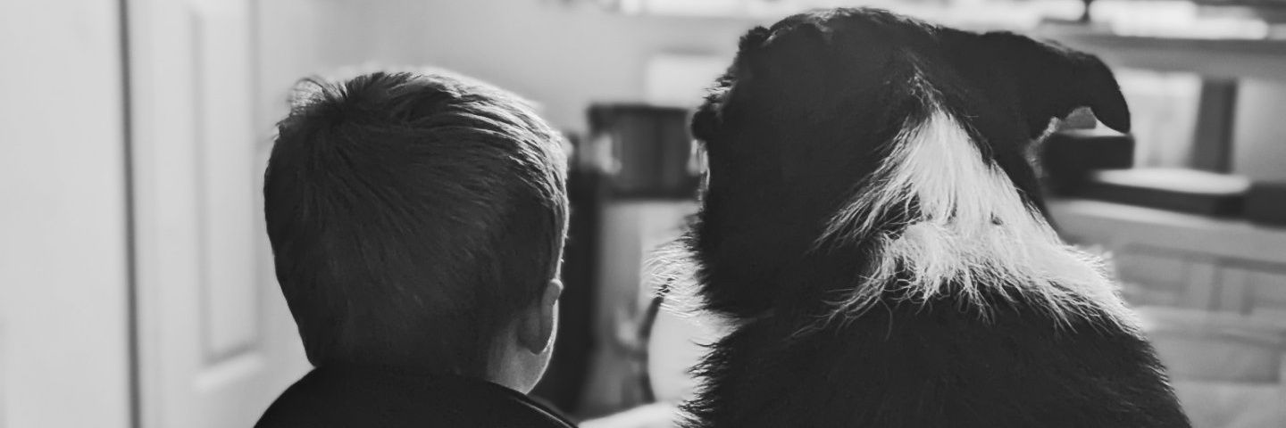 ShaunaBoldy's profile banner image