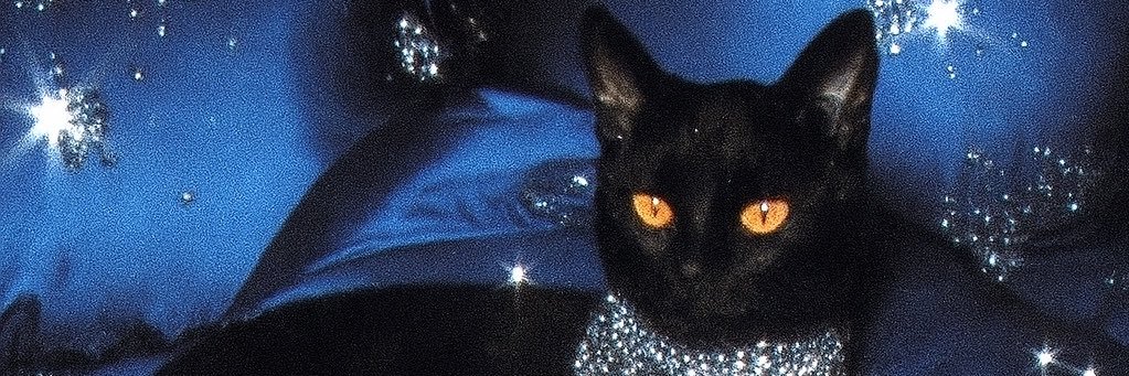 Anthony Sistilli banner