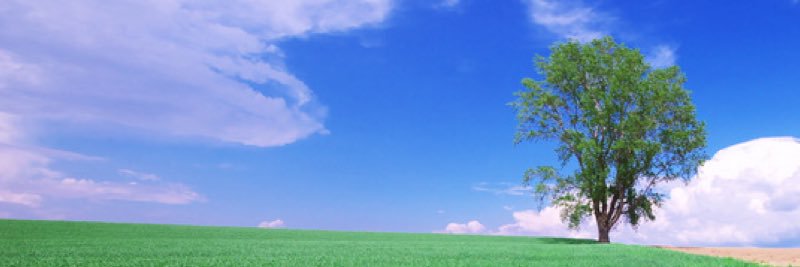 icosuke1515's profile banner image