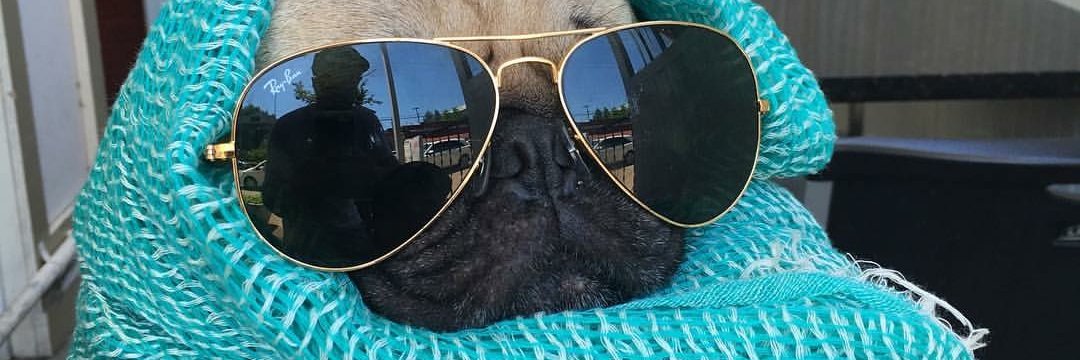 evantheross's profile banner image