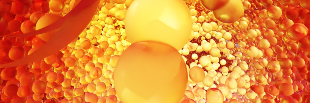 Glyphon's profile banner image