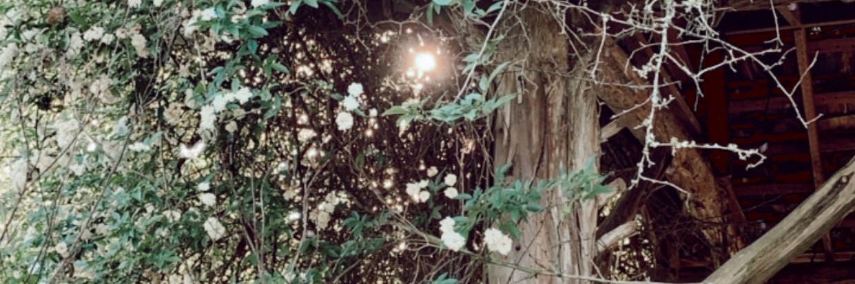 GreerCayla's profile banner image