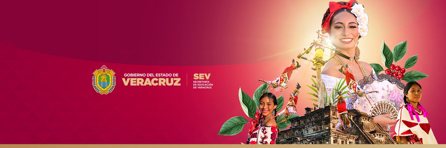 Vasconcelos_SEV's profile banner image