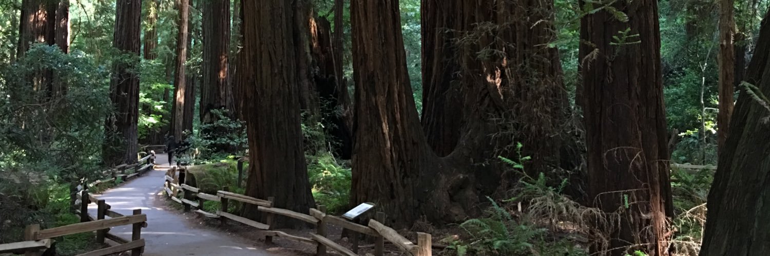 coldinthewinter's profile banner image