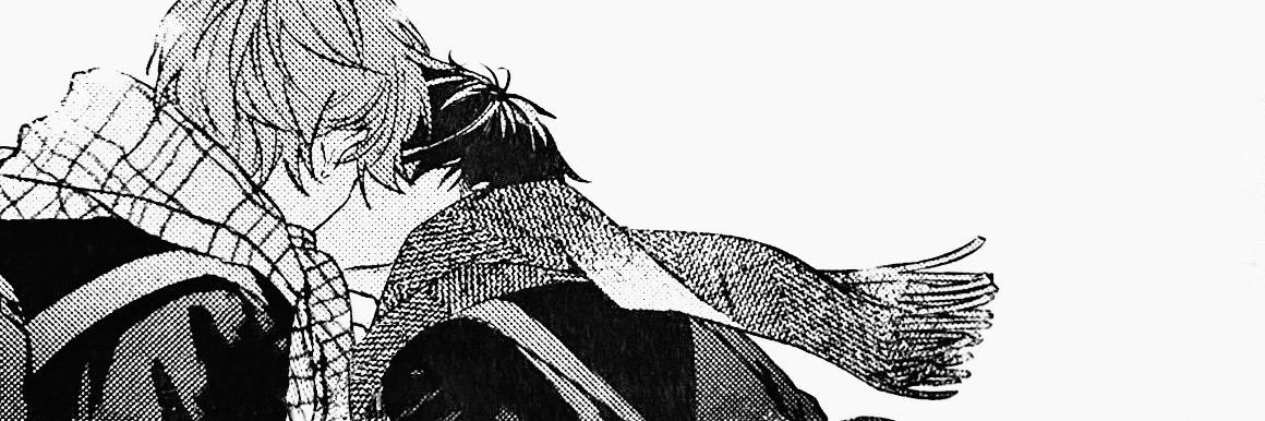 laiaagv's profile banner image
