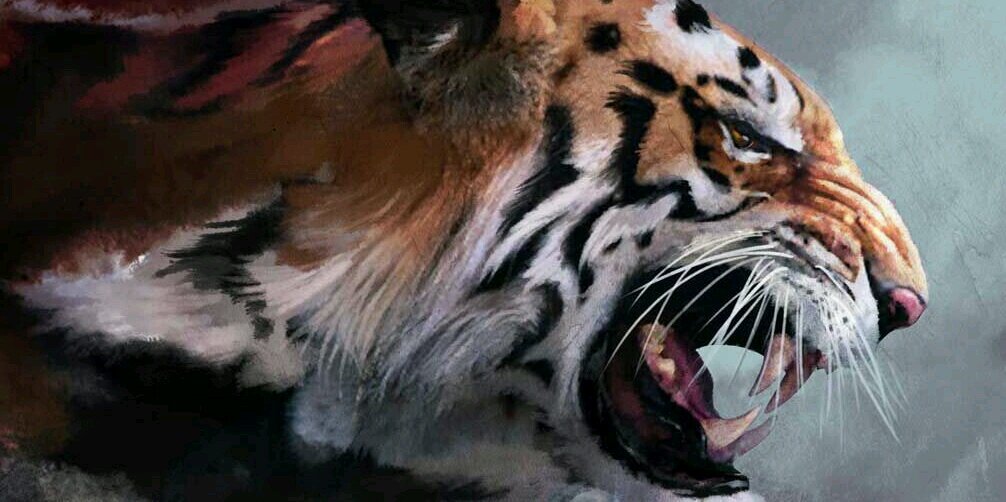 We_Are_Central's profile banner image