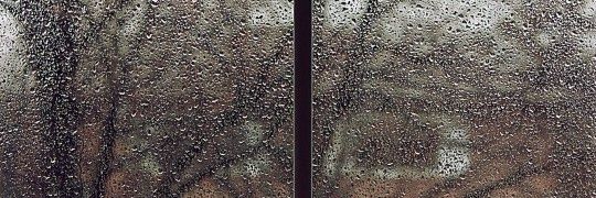 alinakonoplya's profile banner image