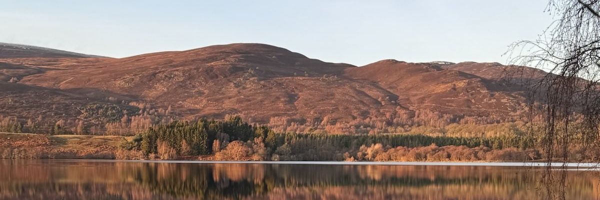 Boujaques's profile banner image