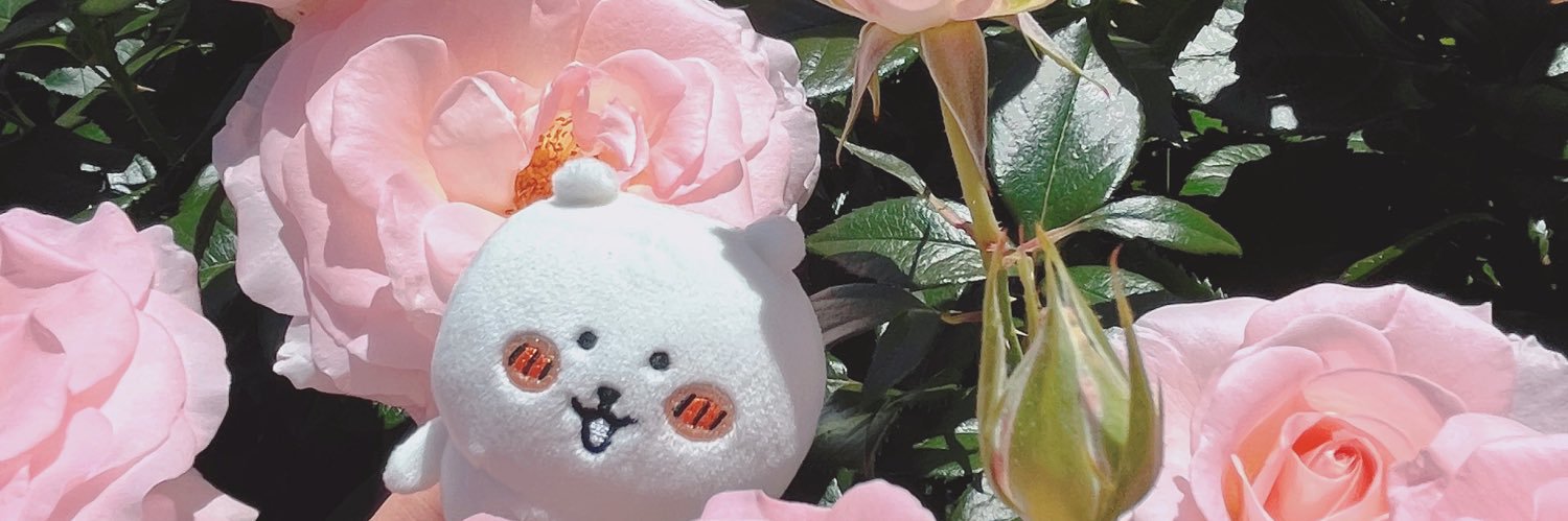 daomei's profile banner image