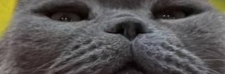 hhetoya's profile banner image