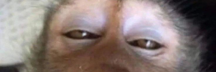 Gussteeee's profile banner image