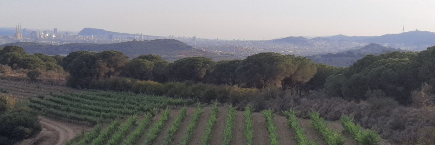 Joan Miquel Gomis banner