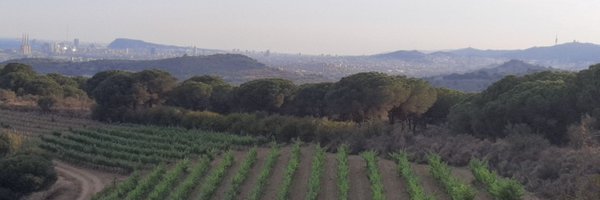 jmgomisl Profile Banner