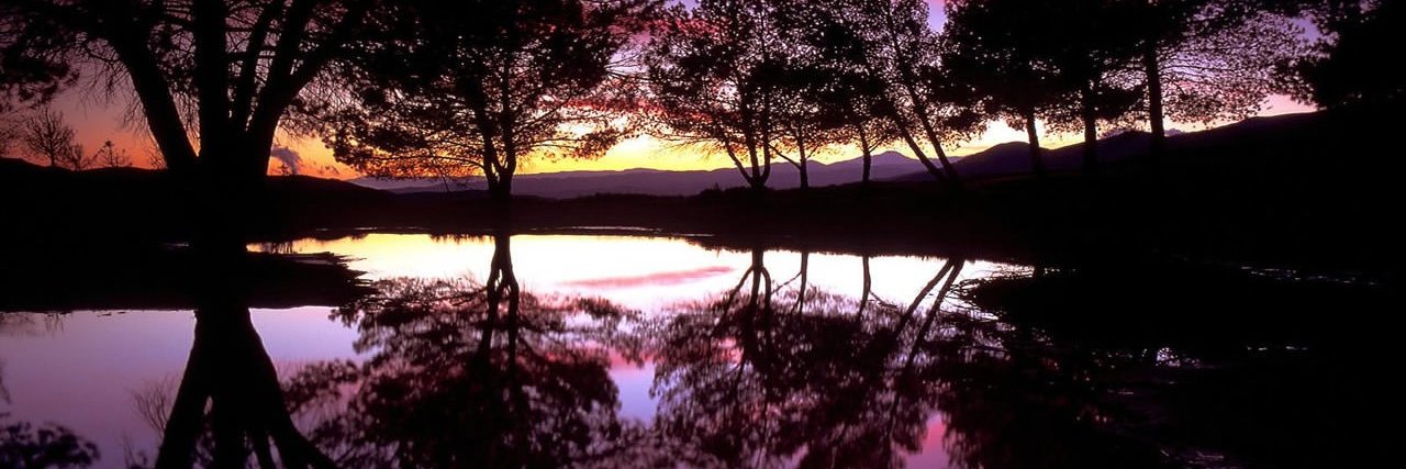 Phillygirl - born in the USA MAGA America First banner