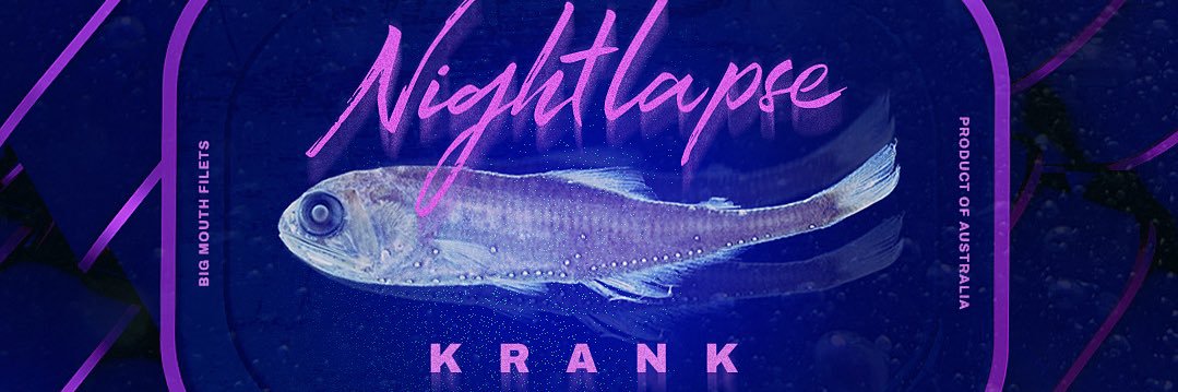 ANDY MANNING (NIGHTLAPSE) banner