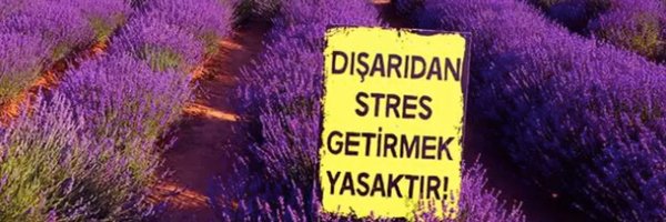 TokenGarden Profile Banner