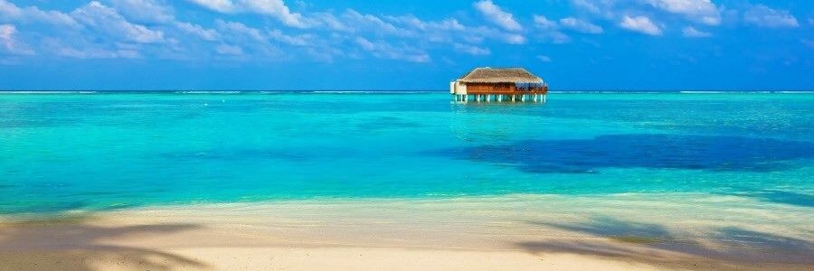 Frédéric Fontang banner