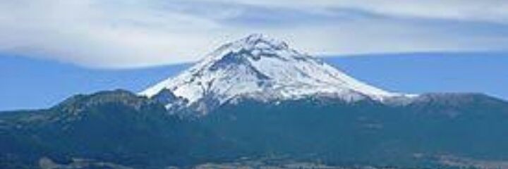 ░C░a░r░l░i░t░o░s░ banner