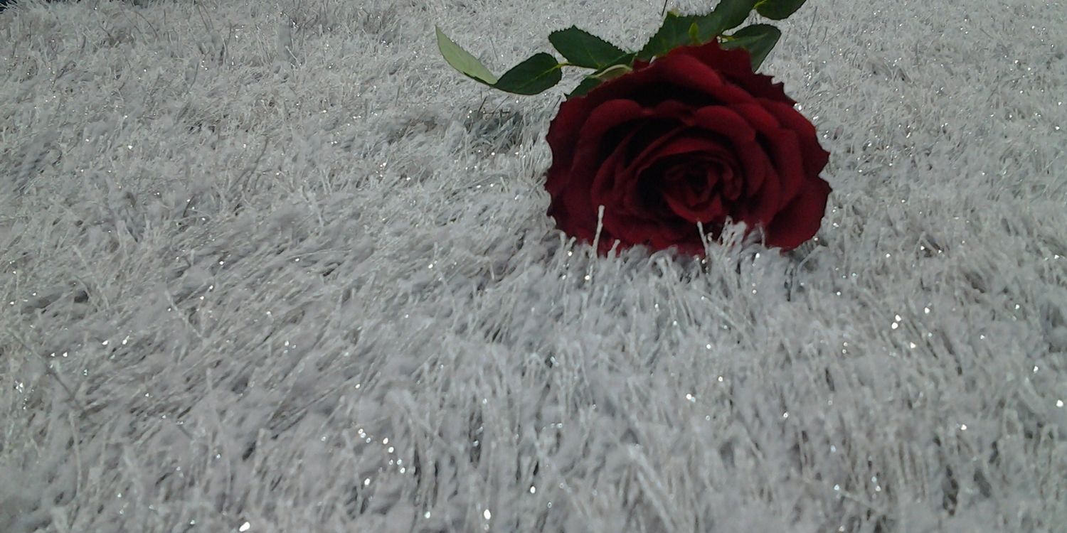 ghlooo2011's profile banner image