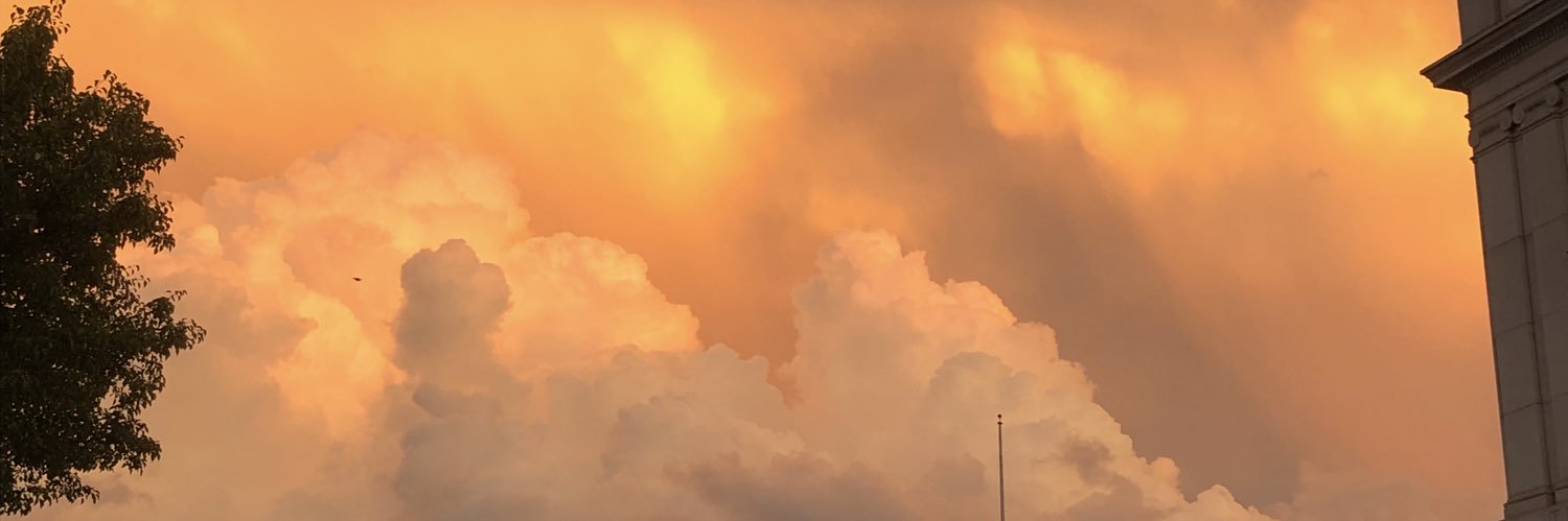 Mallory Perry-Eaddy, PhD, RN, CCRN banner