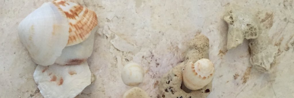 shannonclute's profile banner image