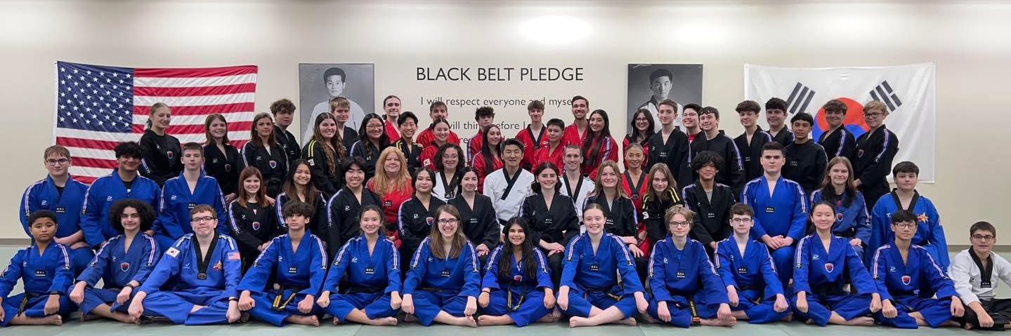 Master Kim’s Taekwondo Institute banner