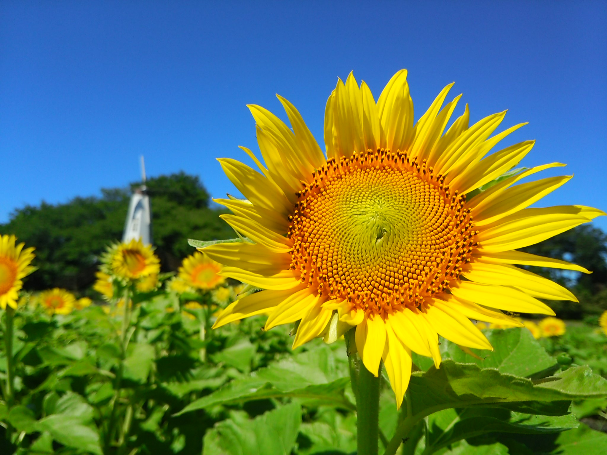 Hiroko1218's profile banner image
