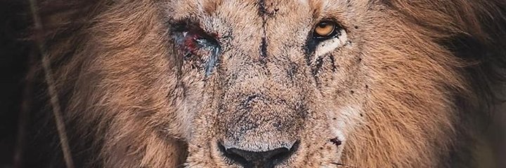 BarexB's profile banner image