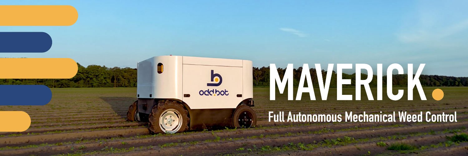 𝗢𝗱𝗱.𝗕𝗼𝘁 banner