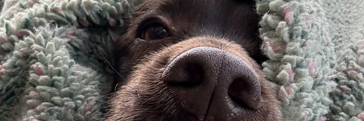 DennySuzi's profile banner image