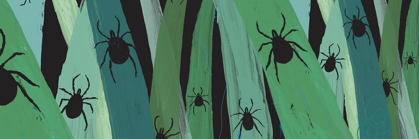 TXLDA's profile banner image