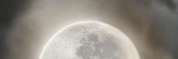 bewillsey's profile banner image