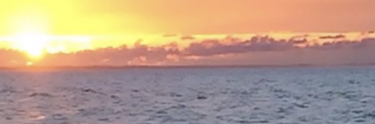 KarlaBenjaminf's profile banner image