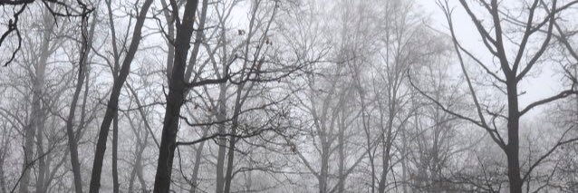 Andre_Chiari_XI's profile banner image
