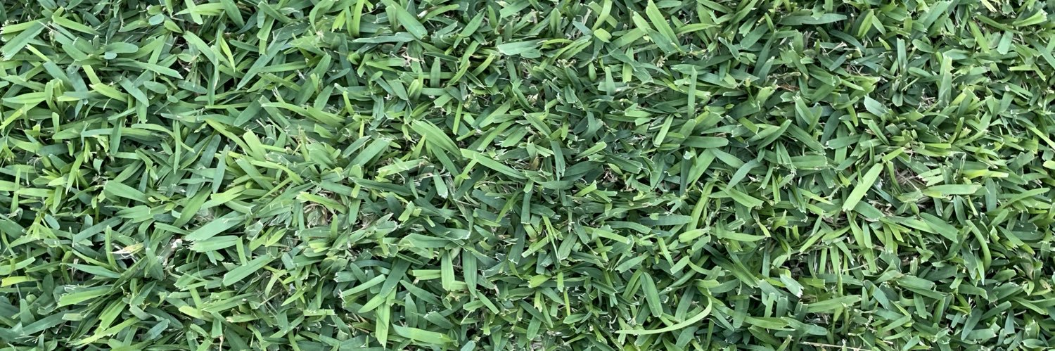 urieldanini's profile banner image