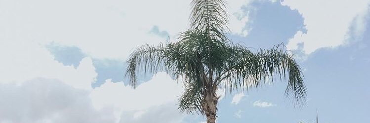 Mary87223450's profile banner image