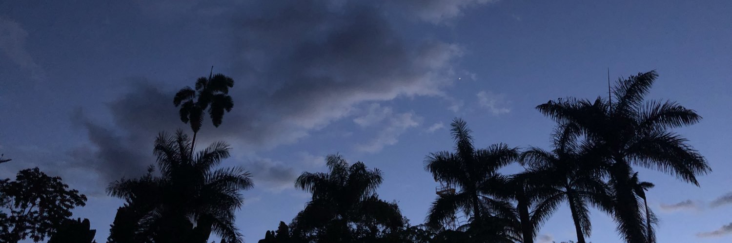 DianaSernaC's profile banner image