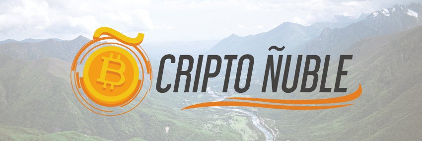 Cripto Ñuble banner