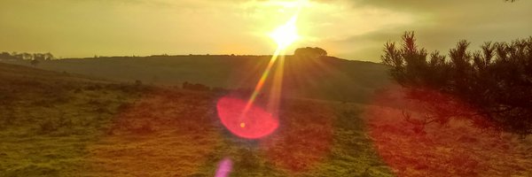 CrowboroughReTw Profile Banner