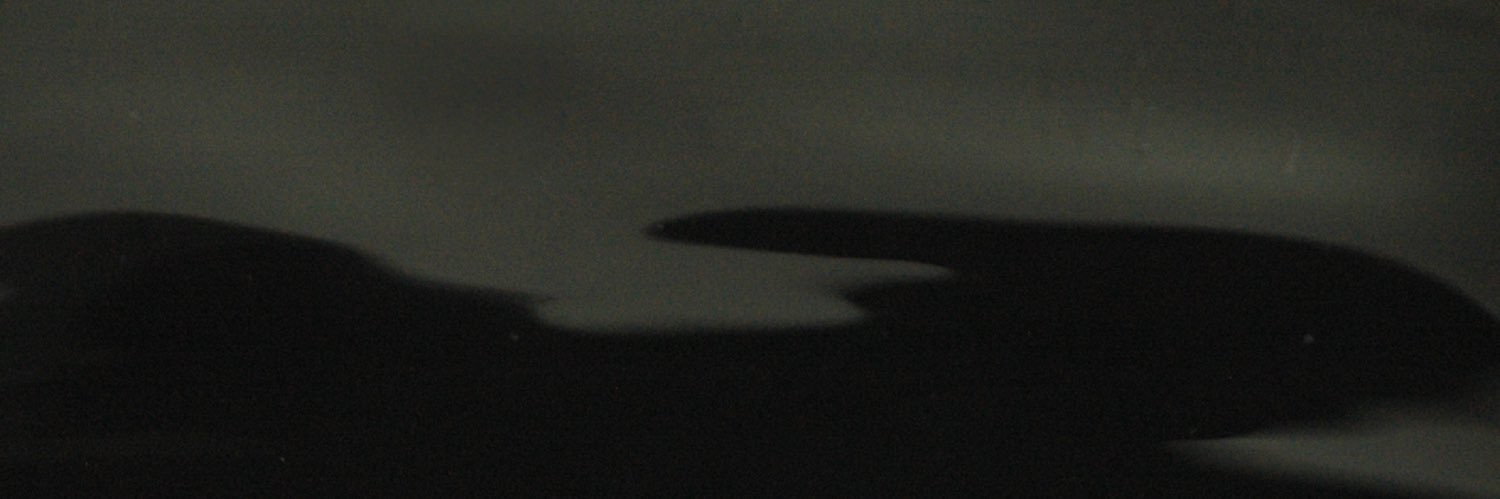 ニイマリコ's banner